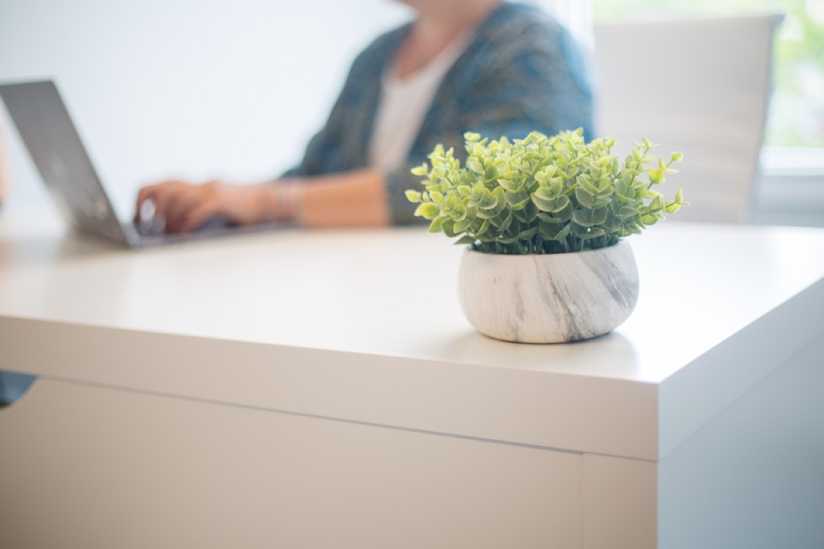 A young professional working on a laptop at a bright desk